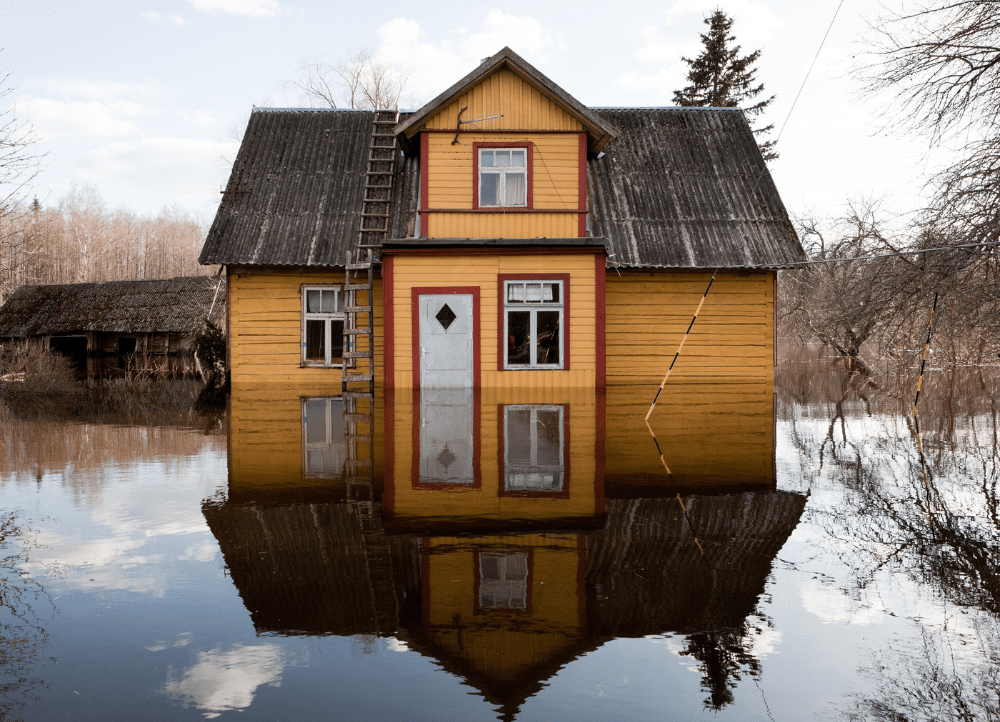 The Devastating Impact of Floods on Your Home
