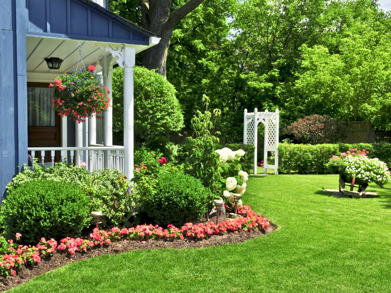 Curb Appeal