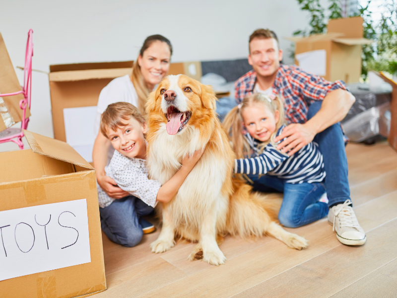 Tips for Moving With Pets Without the Stress