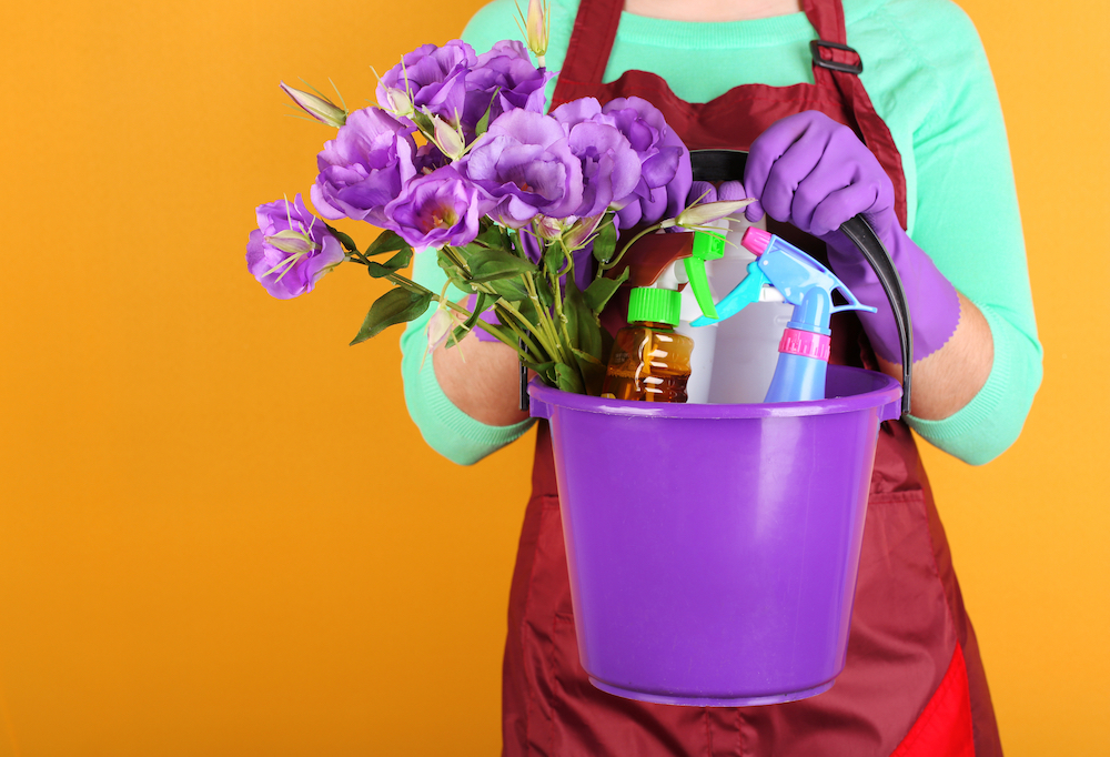 Spring Cleaning Tips Before a Big Move