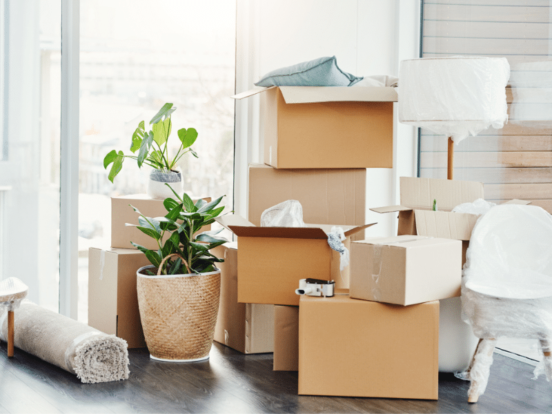 Strategic Summer Moving Costs: 5 Ways to Pay Less in 2026