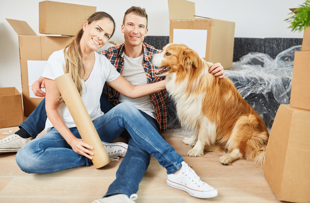 How to Keep Your Pets Relaxed During a Move
