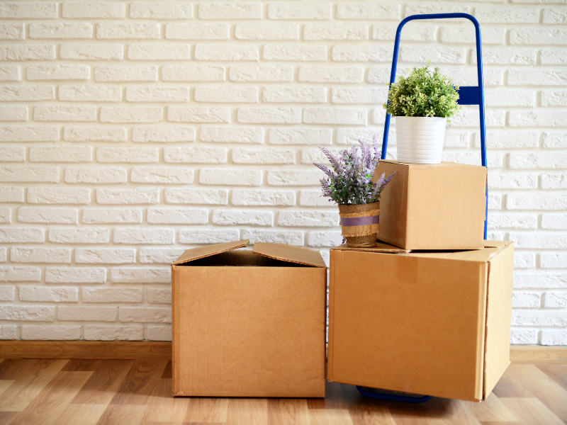 Smart Strategies for Affordable Moving