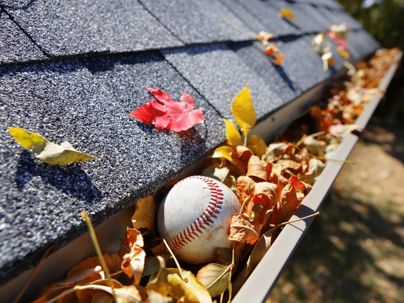 Safeguarding Your Home for the Autumn Season
