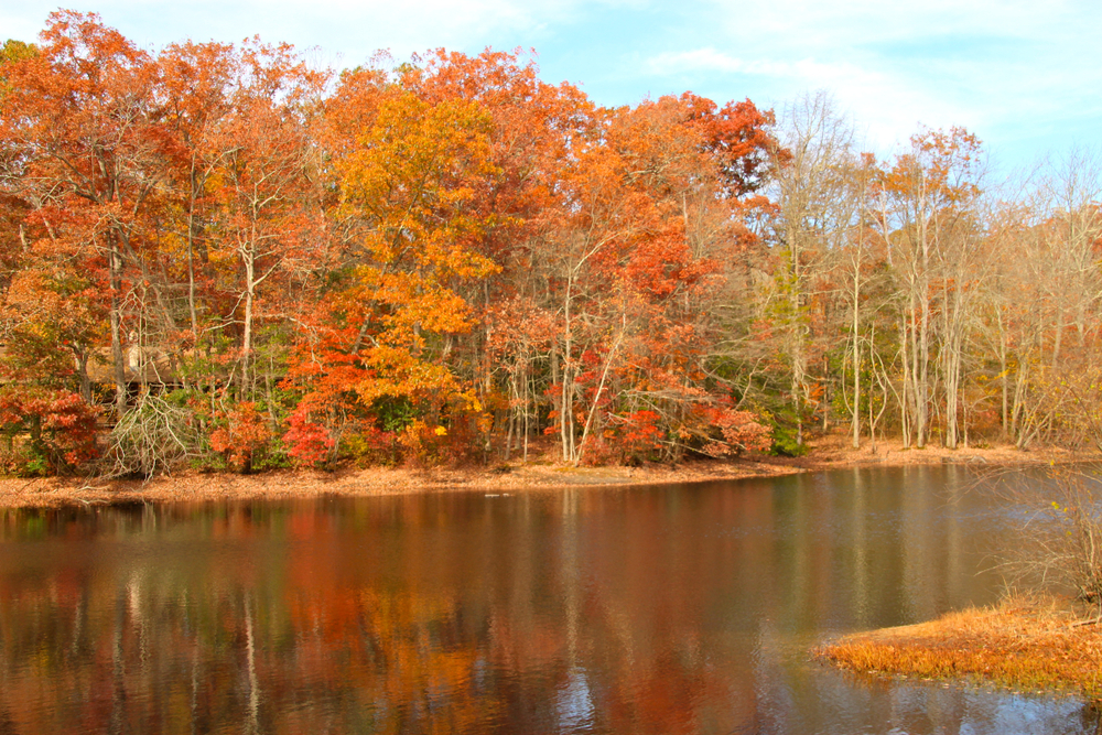 Places to Live in Wall Township, NJ