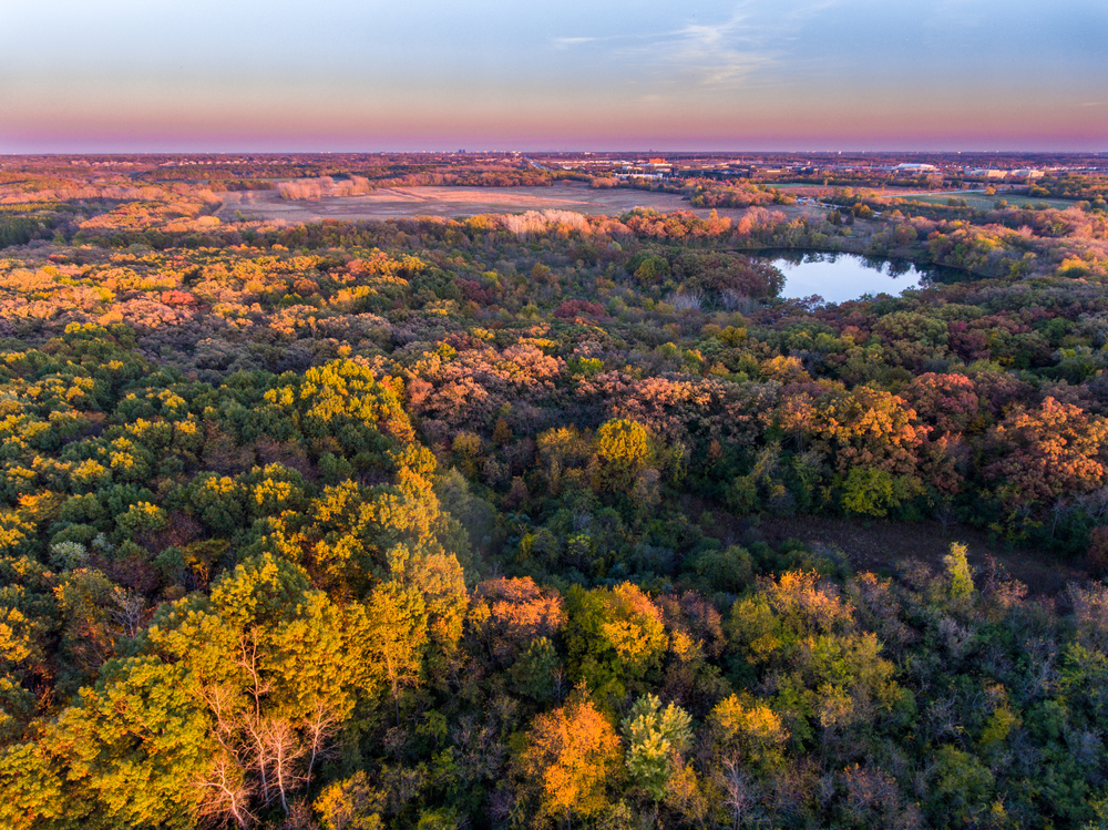Moving to Hoffman Estates, Illinois