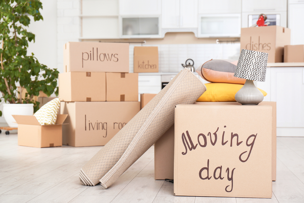 7 Essentials for Moving Day (Plus How to Use Them)