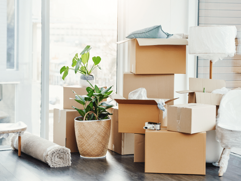 Your Guide to Sourcing Moving Boxes and Packing Supplies