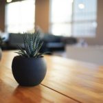 Tips for Moving Plants to Your New Ohio Home