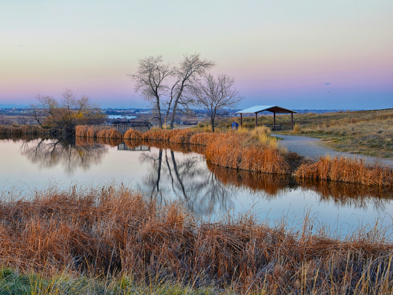 Moving to Broomfield, CO