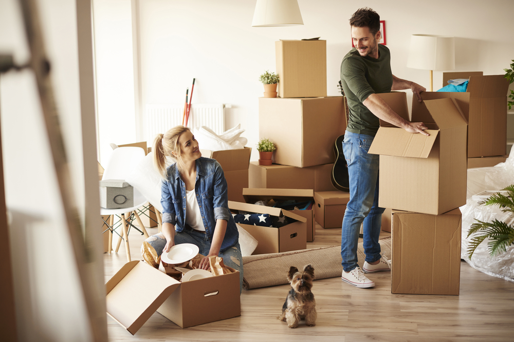 A couple and a dog unpacking boxes in their new home.