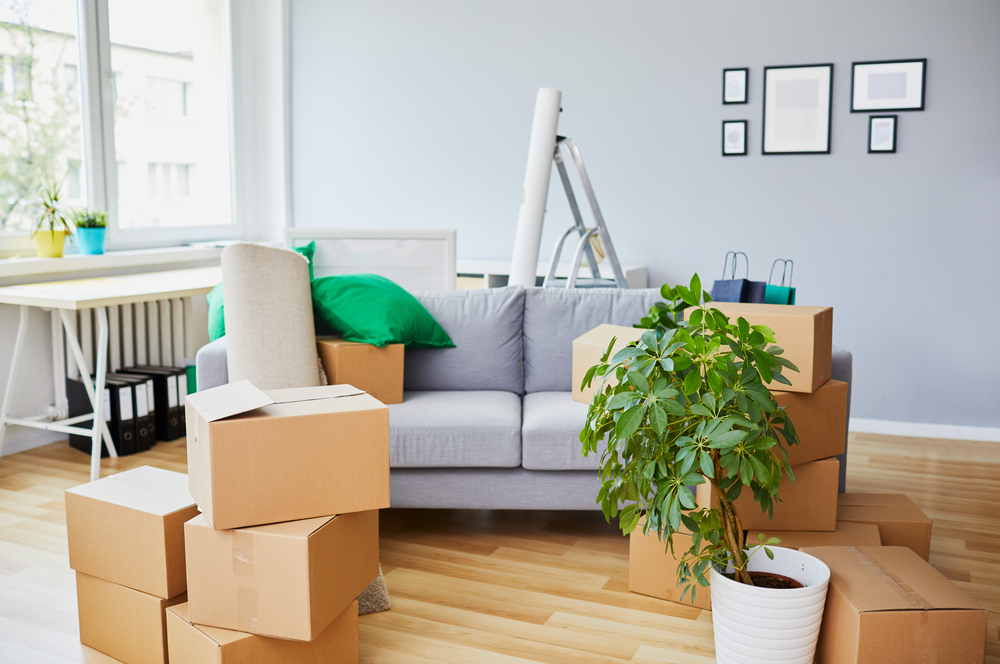 Units of Fort Lauderdale moving packages into the living room