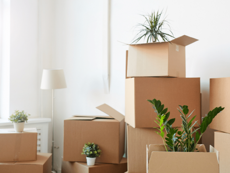 Tips for Moving During Fall