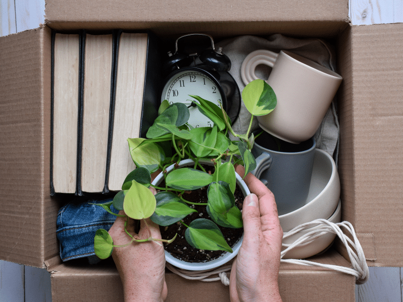 Items You Should Not Pack Before a Move