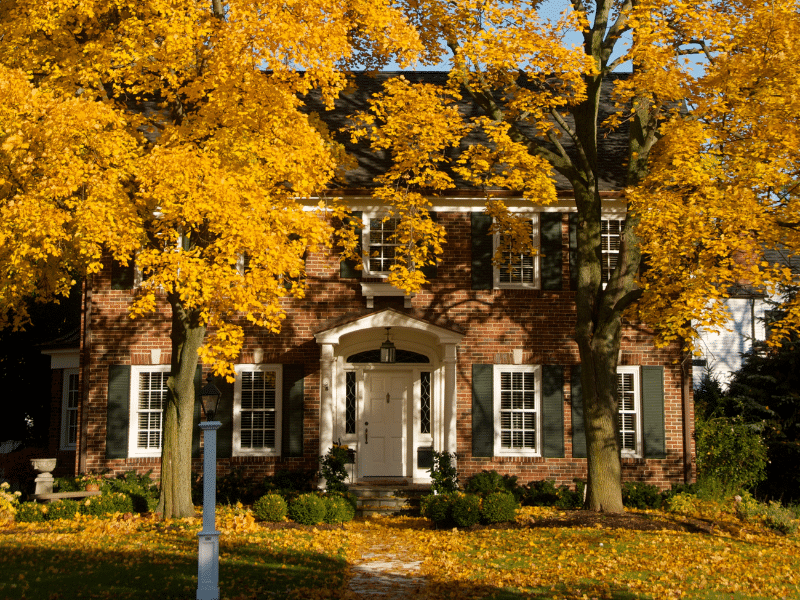 Trees with yellow and orange leaves in the front yard of a house.
