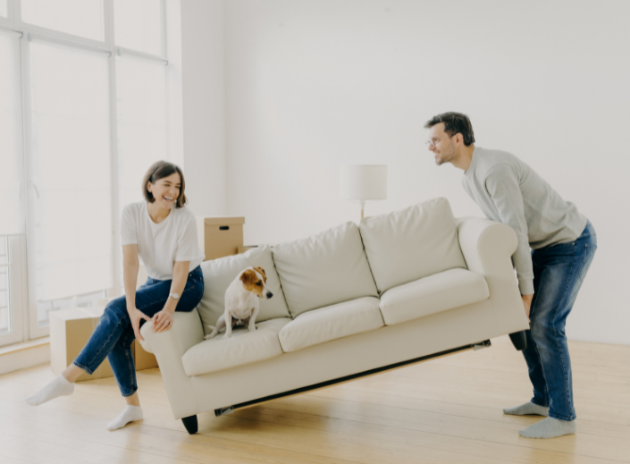 A couple trying to move a couch with a dog sitting on it.