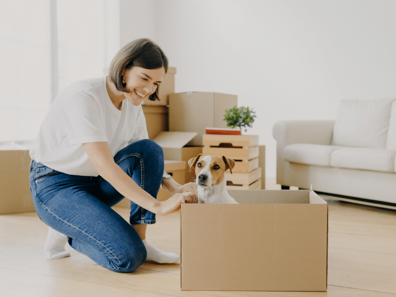 A Guide to Moving With Pets