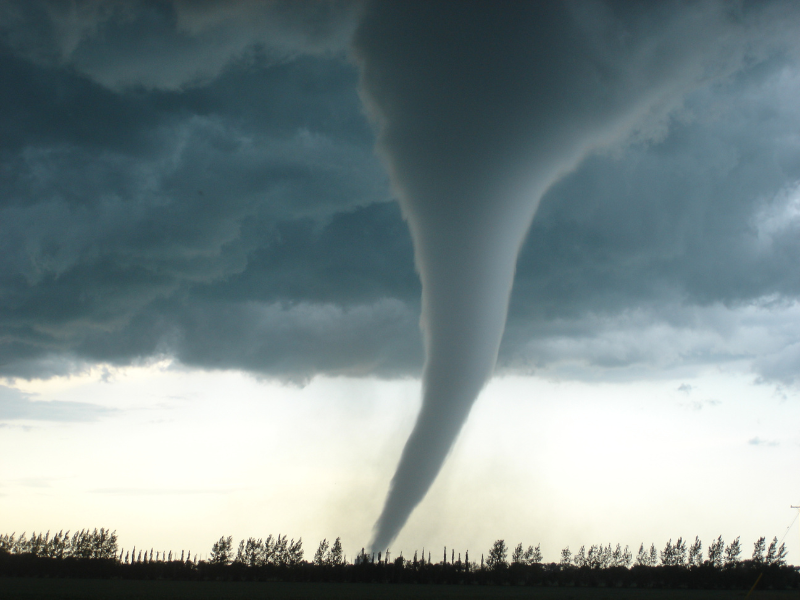 Essential Strategies to Shield Against Tornadoes