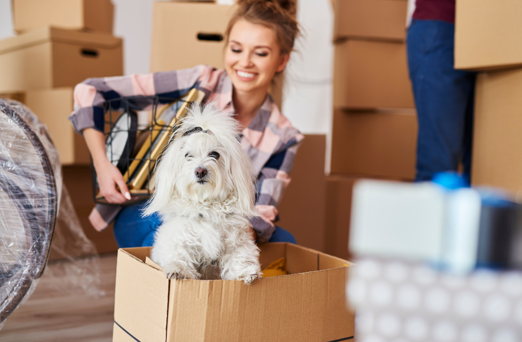 Two people packing items into boxes with a dog sitting in a box.
