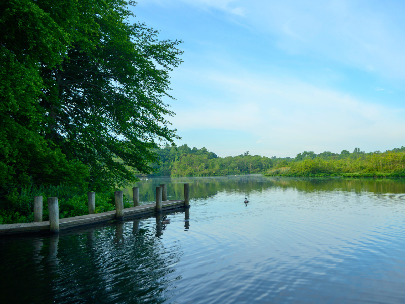 moving to Smithtown, NY