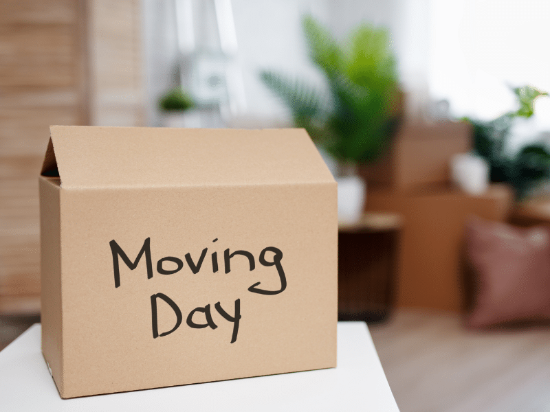 How to Stay Organized on Moving Day