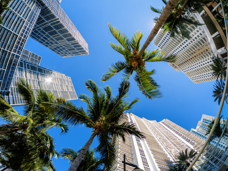 moving to miami