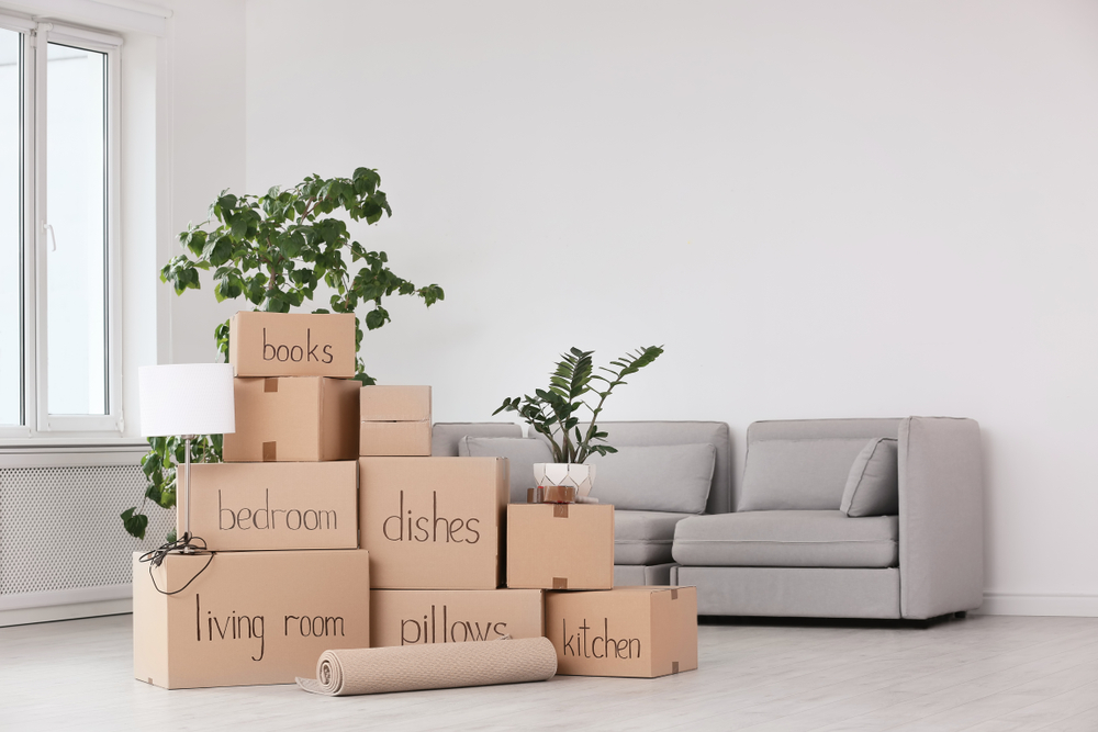 Guide to Finding the Best Cheap Moving Boxes