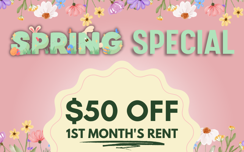 Spring Special: $50 OFF - Call Today!