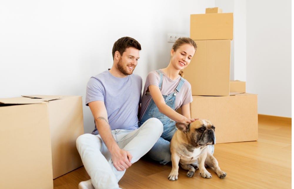 Units of Minneapolis couple sitting with pets and moving boxes