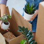 How to Move Plants into Your New Home in Nashville