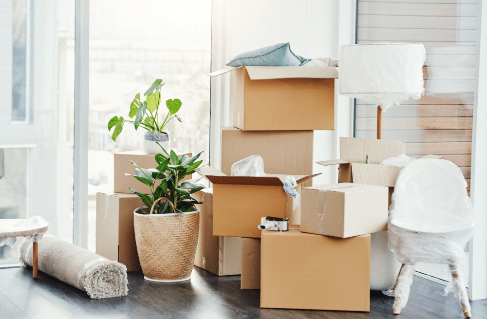 Things to Do As Soon As You Move: A Comprehensive Guide