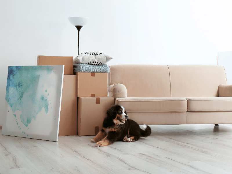Packing up Your Living Room: Tips for a Smooth Move