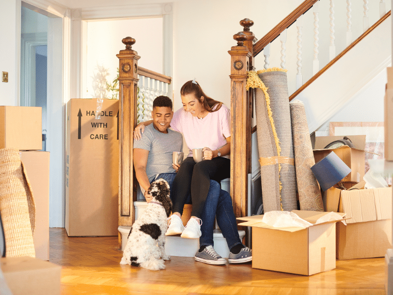 Top 5 Tips for Moving With Pets