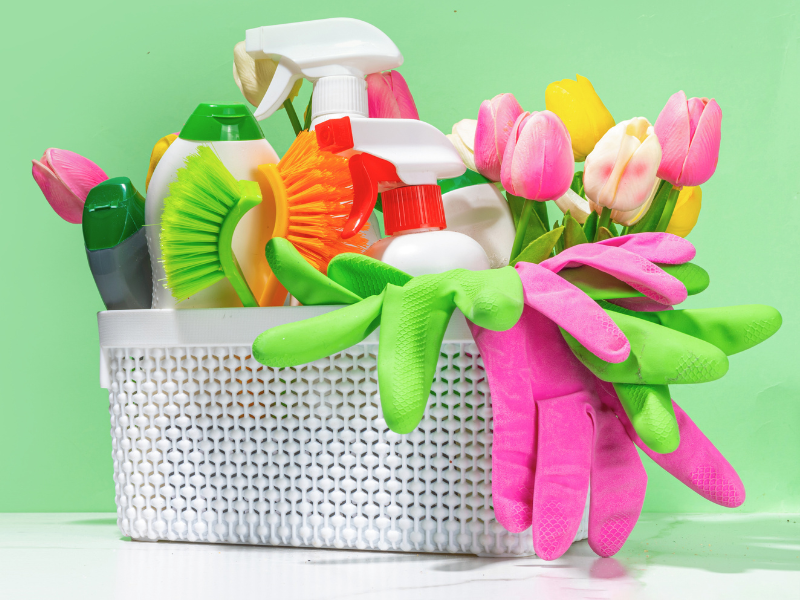 Spring Cleaning Supplies