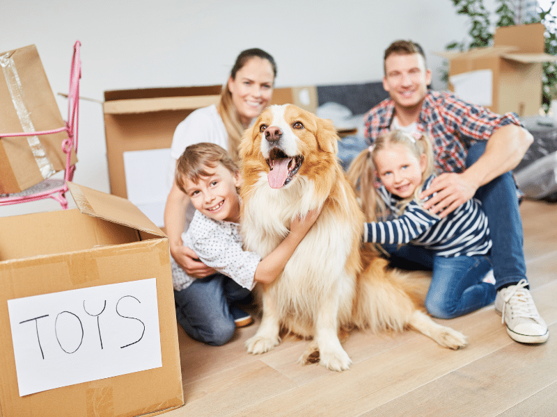 moving with kids and pets