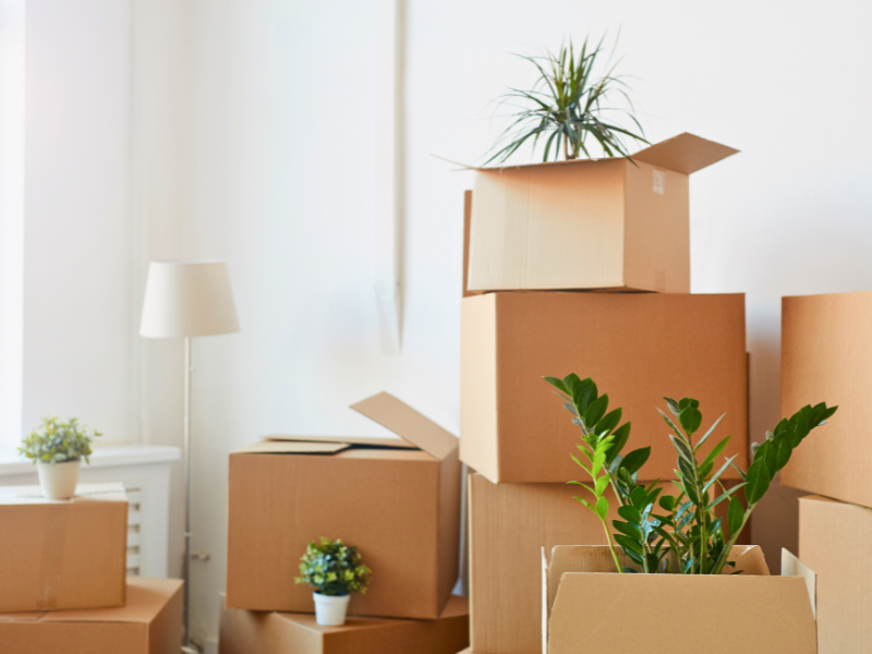 Spring Moving Checklist for Families
