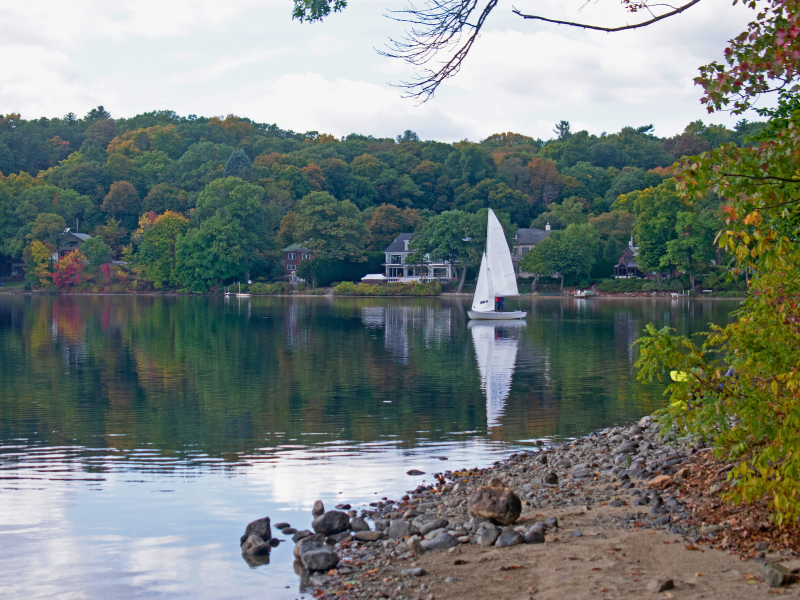 Moving to Arlington, MA: A Quick Guide