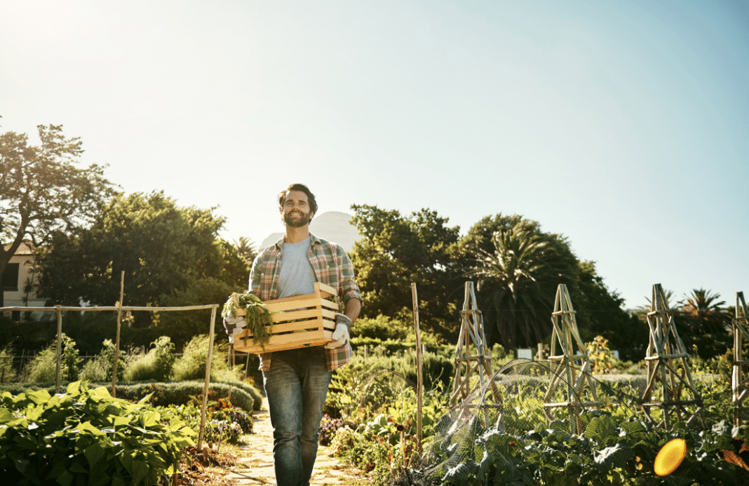 A man carrying vegetables in a crate walking through a farm.