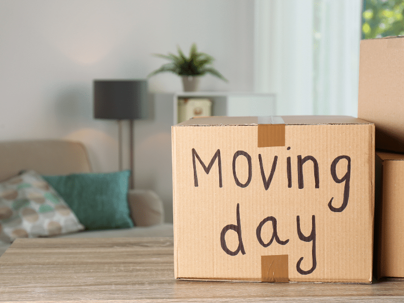 Essential Summer Long-Distance Moving Guide for NJ Homes Now