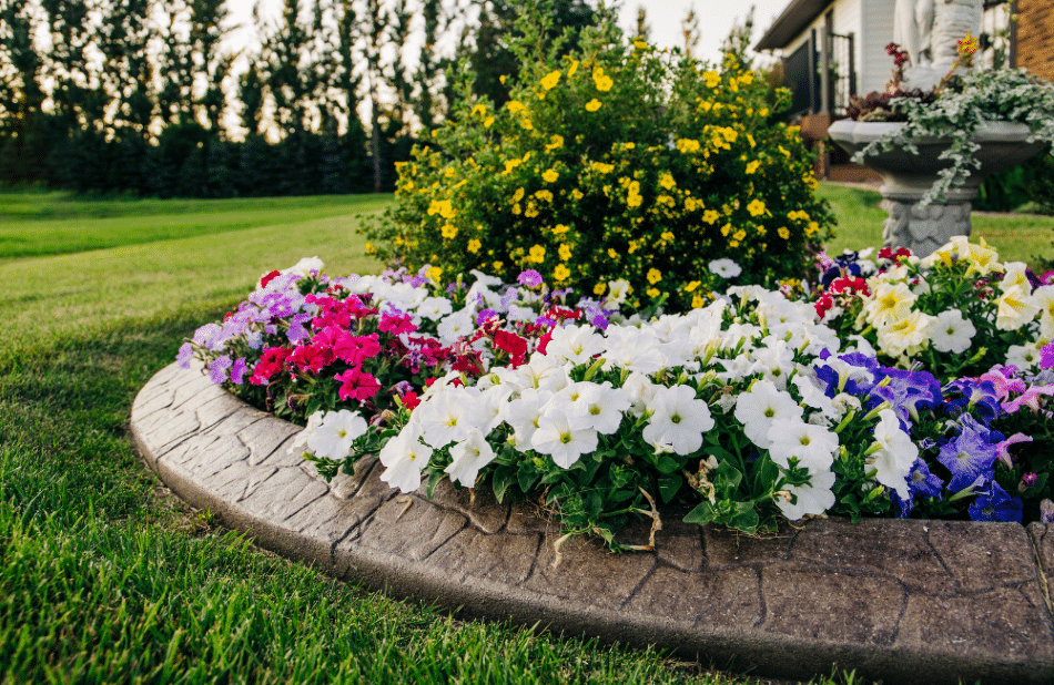 7 Proven Strategies to Boost Your Home’s Curb Appeal