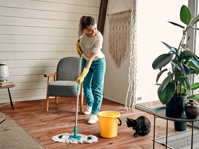 Mastering the Art of Spring Cleaning