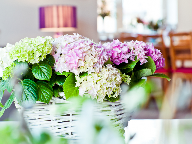 7 Ways to Spruce up Your Home for Spring