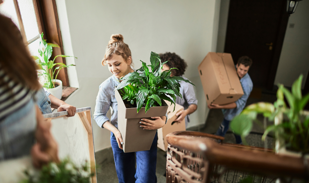 Young adults moving into an apartment carrying boxes and potted plants into the apartment.