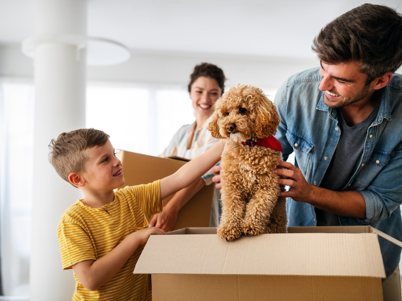 Preparing Your New Home for Pets