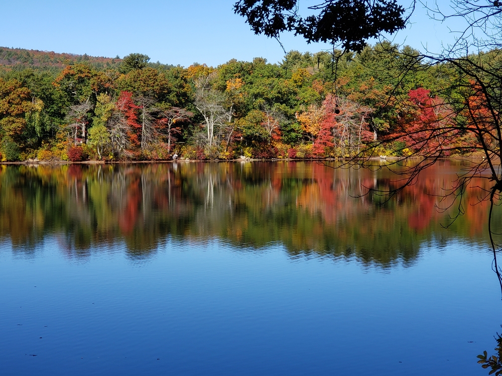 Explore the Best Neighborhoods in Milton, Massachusetts