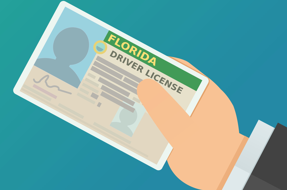 Tips for Updating Your Car Registration and Driver’s License After a Move in Tampa Bay