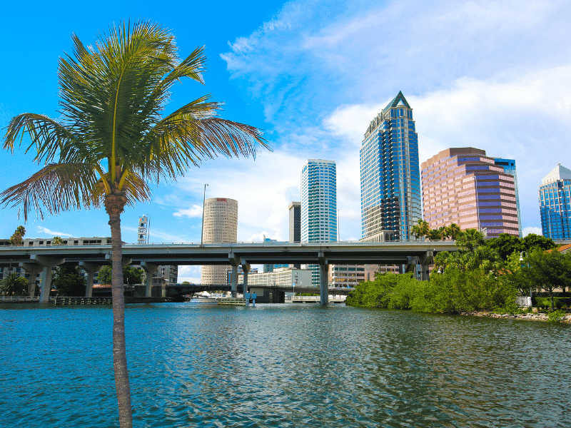 Best Tampa Bay Neighborhoods to Move to