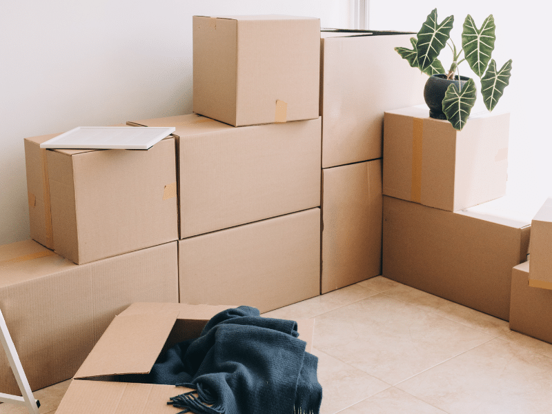 7 Things to Keep in Mind When Moving to a New House in the Fall