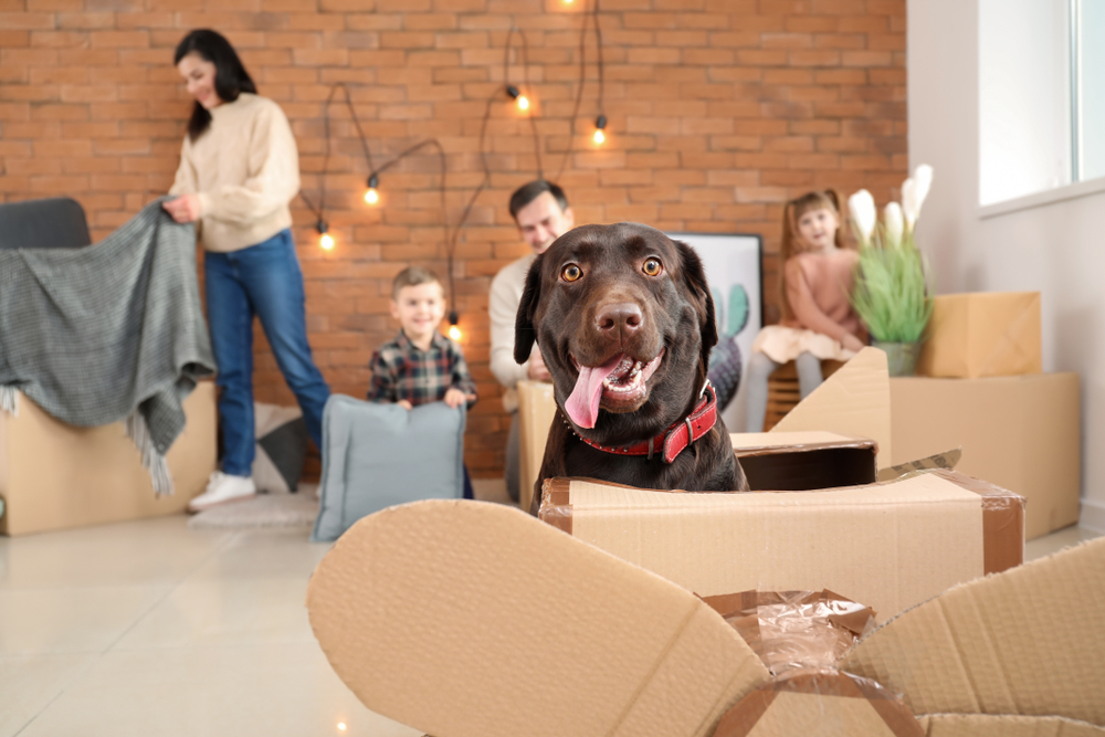 Family sitting with a dog surrounded by boxes.