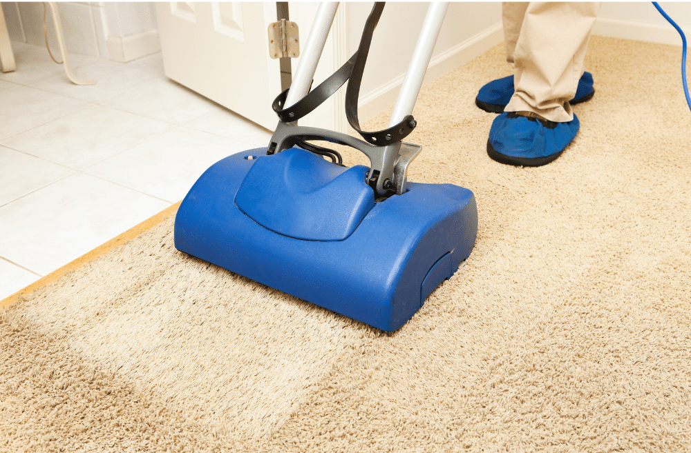 The Importance of Carpet Cleaning After Moving to a New Home